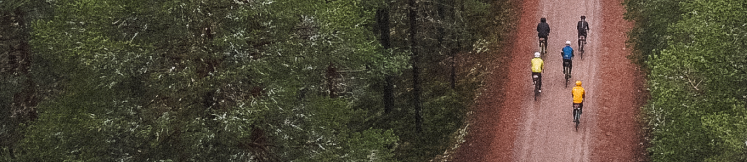 Aerial view of five cyclists gravel ridingin dense forest